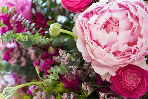 Peony Flower Bouquet Delivery Best Flower Site