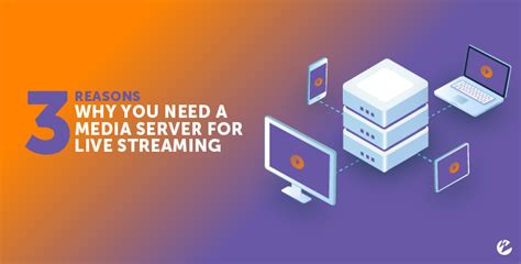 3 Reasons Why You Need A Streaming Media Server Video Wowza