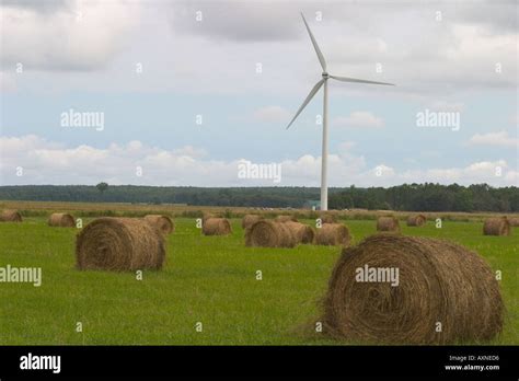 Ontario Wind Turbine In Farm Field Stock Photo Alamy