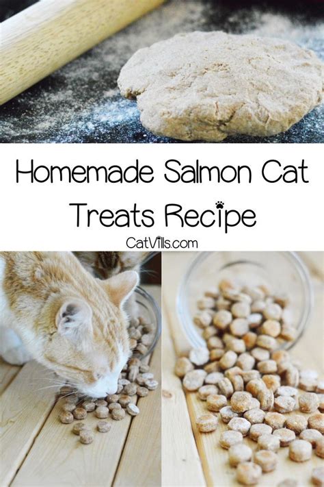 Homemade Salmon Cat Treats Recipe Flavors Of Love Homemade Cat Food