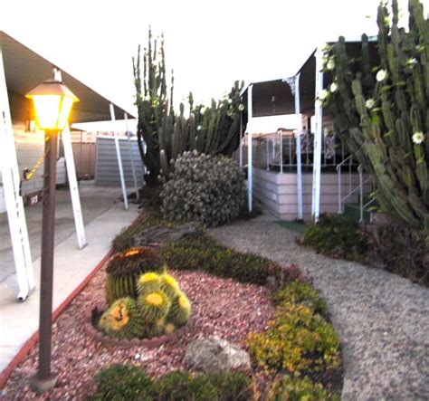 Embark on an adventurous journey: Cactus garden in mobile home park | Garden and gardening ...