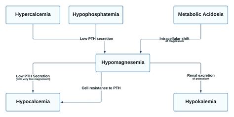 Cureus A Case Of Hypomagnesemia Presenting As New Onset Seizure