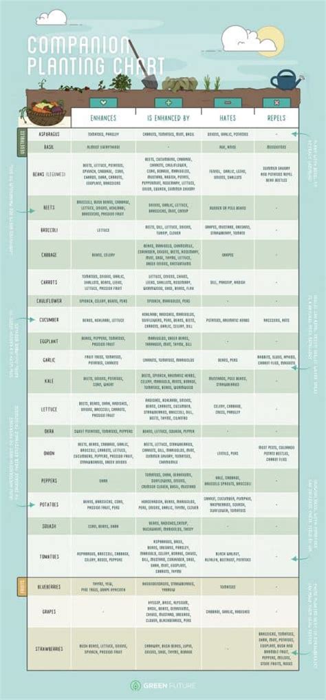 Collection Of Companion Planting Charts Guides And Pdfs World Water