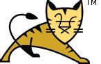 I have seen two ways people import taglibs Apache Tomcat/8.5.38