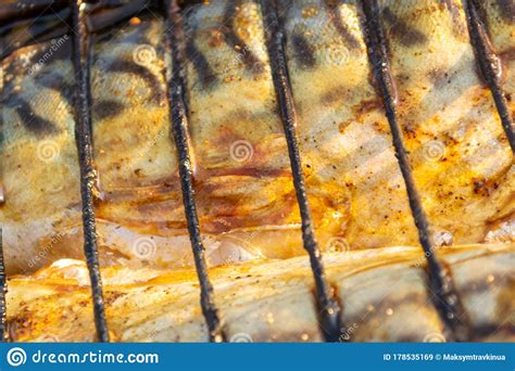 Bonfire Mackerel Fish Stock Image Image Of Grilled 178535169