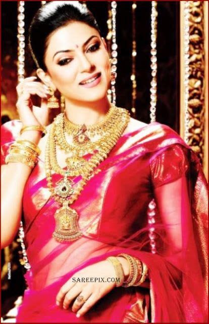 sushmita sen in red silk saree pics indian celebrities indian bridal fashion