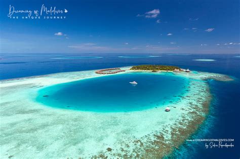 Snorkeling At Baros Maldives The Resort House Reefs In Images