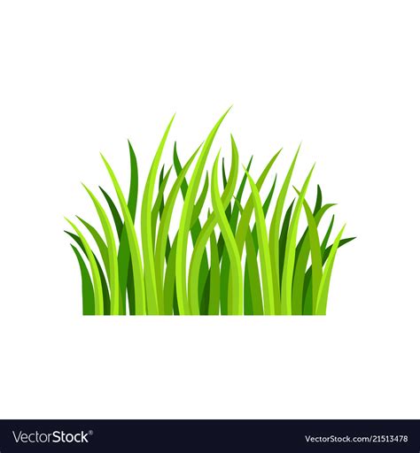 Flat Fresh Green Grass Royalty Free Vector Image