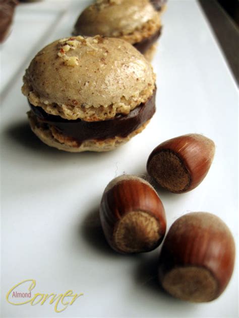 Almond Corner Hazelnut Macaron