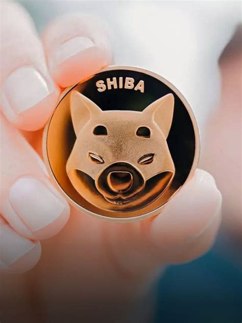 Reasons For Investing In Shiba Inu Coin Finance Shots