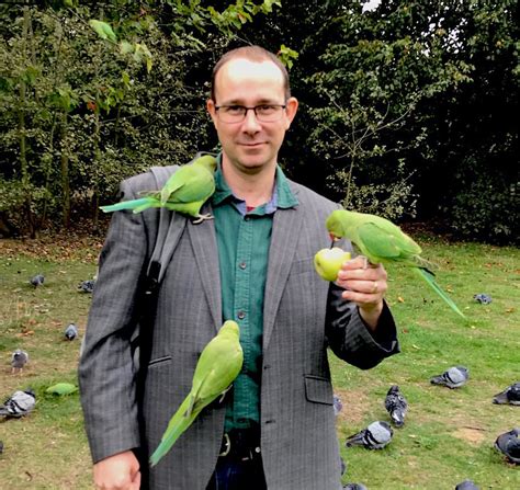 Londons Parakeets Everything You Need To Know Londonist