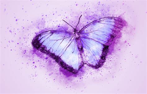 Bộ Sưu Tập 500 Butterfly Background Purple đẹp Nhất