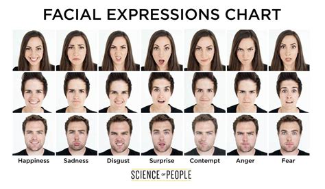 La Guía Definitiva Para Leer Las Microexpresiones Faciales Following