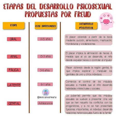 Etapas Del Desarrollo Psicosexual Propuesta Por Freud Cosas De