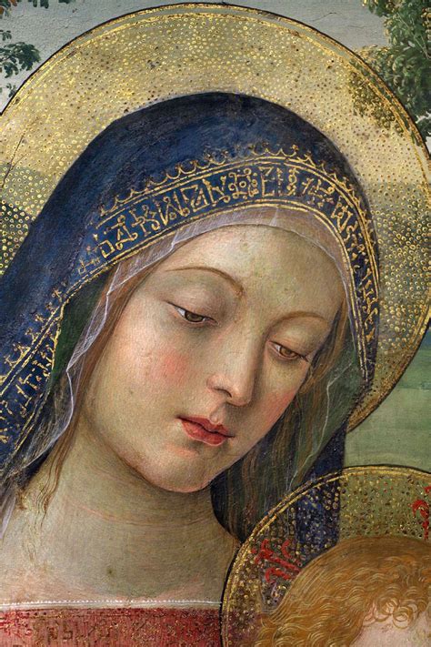 Pinturicchio Bernardino Di Betto Betti Perugia 1452 Circa Siena