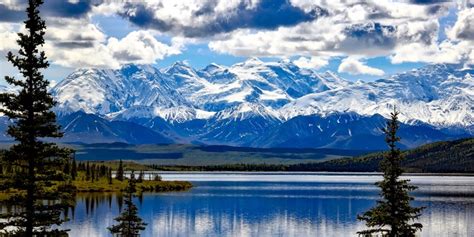 Find a wealth of information to plan your alaska vacation or travel to alaska including transportation in alaska, alaska cruises, hotels, lodges, tours and things to do, fishing, wildlife information, community information and more. Alaska: Northern Noir | CrimeReads