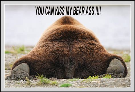 Kiss My Bear Ass Know Your Meme