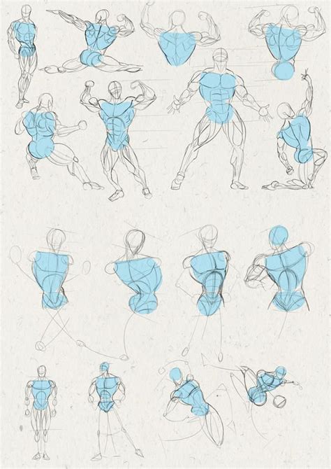 Anatomy Drawing Practice Human Anatomy Drawing Gesture Drawing Drawing Poses Drawing Tips