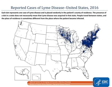 Ja Pse Sëmundja Lyme Vazhdon Të Përhapet Në Shba