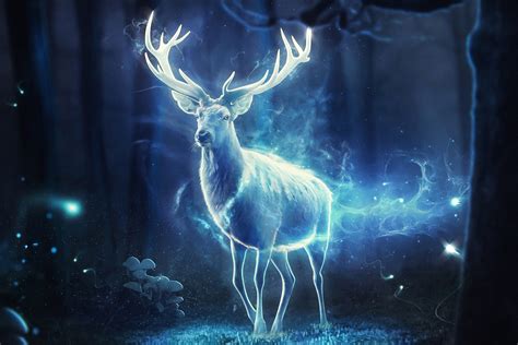 Fantasy Deer Hd Wallpaper Background Image 1920x1280