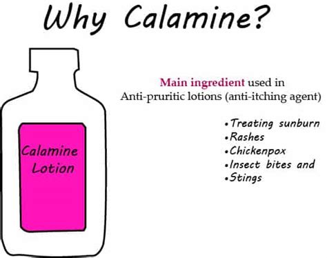 How To Use Calamine Lotion Benefits Facts Formula And Application My