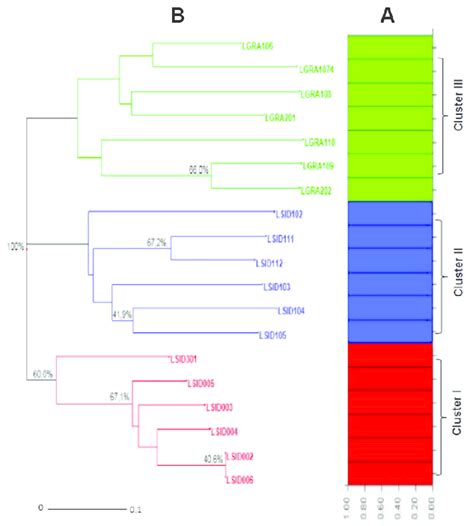 Genetic Structure Pattern Obtained For The Lippia Sidoides And L