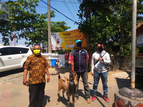 Semoga tahun baru imlek 2021 membawa rezeki yang berlimpah. MEMERIAHKAN HARI RAYA IDUL ADHA, PT KJG BERIKAN BANTUAN ...