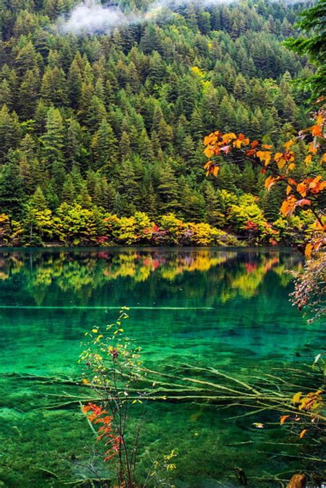 Best Places To See In The Arrival Of Autumn Jiuzhaigou National Park