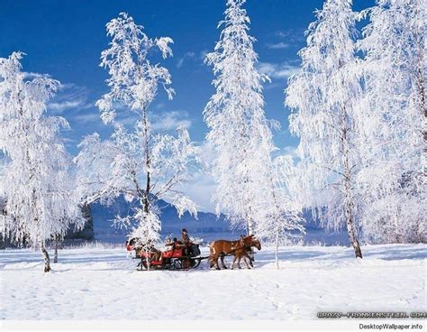 10 Most Popular Winter Scenes Desktop Background Full Hd 1920×1080 For Pc Desktop 2021