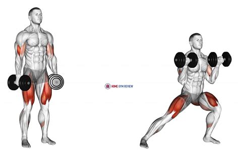 Dumbbell Lateral Lunge With Bicep Curl Home Gym Review
