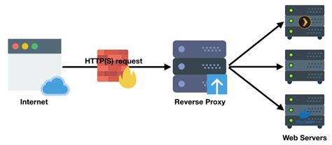 How To Setup A Reverse Proxy With Letsencrypt Ssl For All Your Docker Apps Linuxserver Io