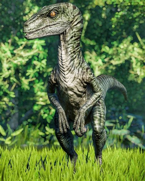 Dinosaur On Instagram “reposted From Jwephotosandvids Charlie The Velociraptorjurassic