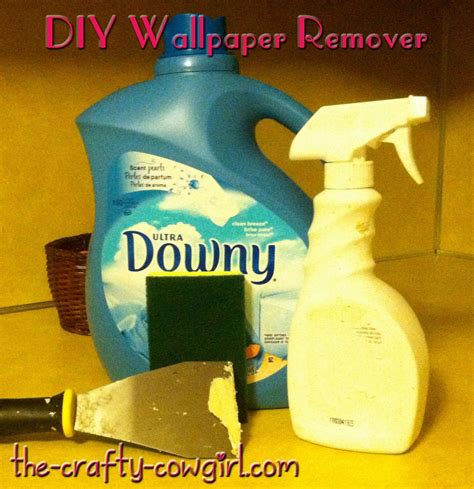 23 Best Wallpaper Removal Solution The Jimp Blog