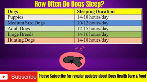 How Often Do Dogs Sleep Normal And Abnormal Sleeping Serve Dogs