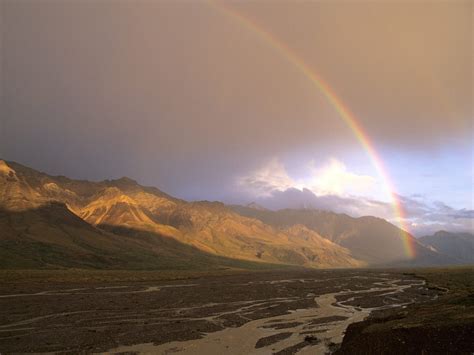 Rainbow Over The Toklat Valley Alaska Range Denali National Park