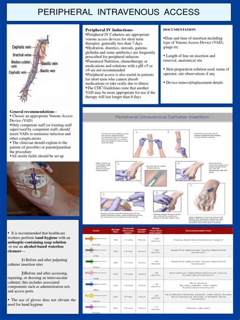 Peripheral Intravenous Access Poster Pdf Intravenous Therapy