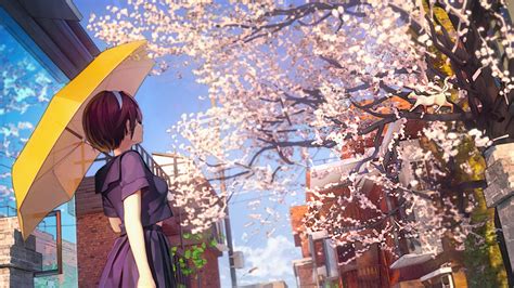 Download 1920x1080 Cherry Blossom Sakura Petals Anime School Girl
