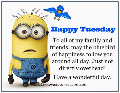Looking for the best funny tuesday quotes pictures, photos & images? Have a Happy Tuesday. | Happy tuesday pictures, Minions ...
