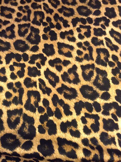 Animal Print Pattern High Resolution Leopard Print Background