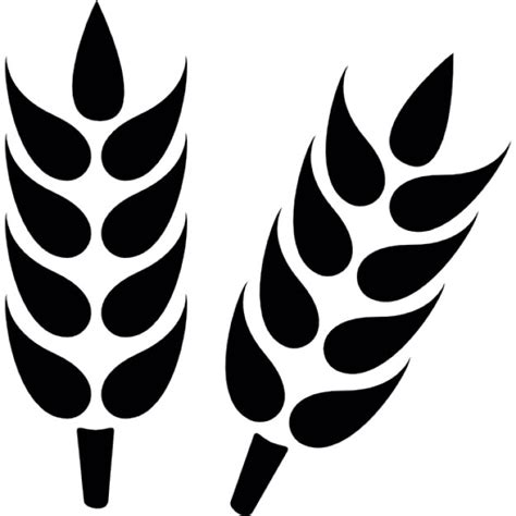 Wheat Grain Close Up Icons Free Download