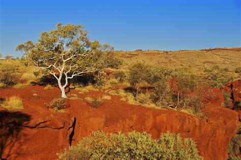 Bushwalk in Australia's outback - Global Medical Staffing Blog
