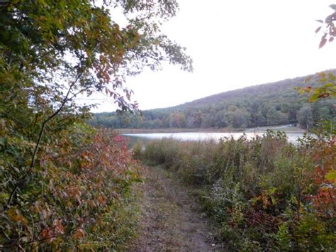 Lawson Lake County Park Albany Hike Julie Journeys