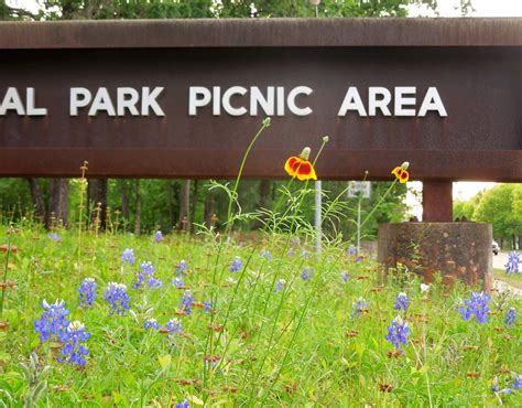 Houston Parks In Pics Memorial Park Picnic Area