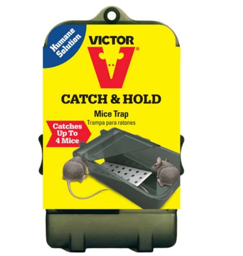 Victor Multiple Catch Animal Trap For Mice 1 Pk Essex County Co Op