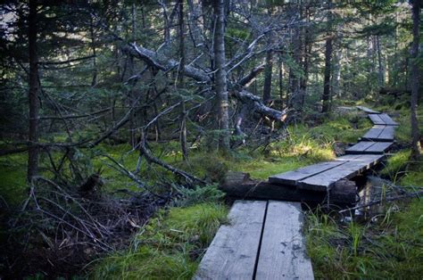 Follow 13 Of The Best Hiking Trails In Massachusetts