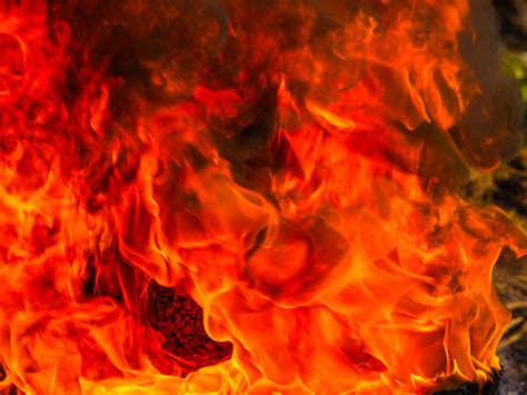 Lista nickfinder free fire já pre programado para uso, se quiser. Free Images : fire, flame, heat, burn, hot, bonfire, warm ...