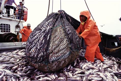 Es El Día Del Trabajador De La Pesca Industrial En Argentina La