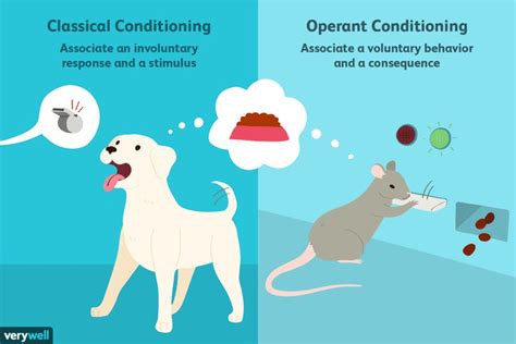Whats Difference Between The Classical And Operant Conditioning