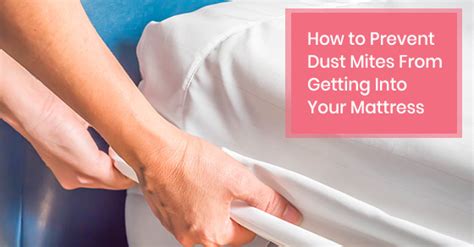 How To Prevent Dust Mites From Getting Into Your Mattress Mattressville