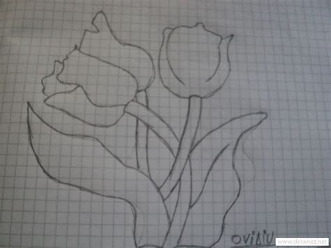 Desene de craciun in creion usoare desenez si colorez. Desene in creion cu flori simple | Curatatorie chimica